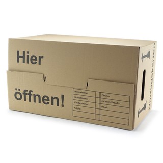 594x314x334mm Umzugskarton