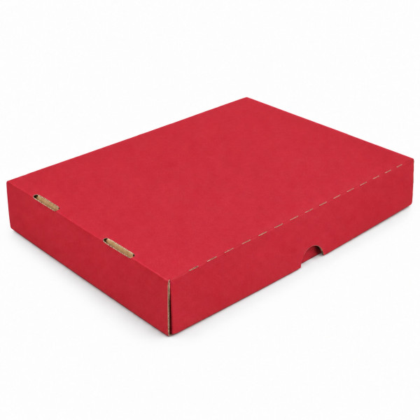 322x241x51mm | Farbig | Geschenkschachtel mit Deckel | 2-tlg.