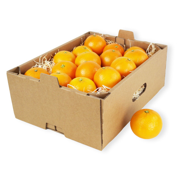 395x295x147mm | Obstkiste