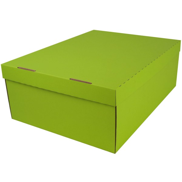 453x340x166mm | Farbig | Geschenkschachtel mit Deckel | 2-tlg.