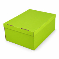 Farbe Grün