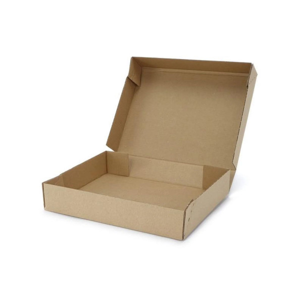 255x200x46mm Maxibrief Karton