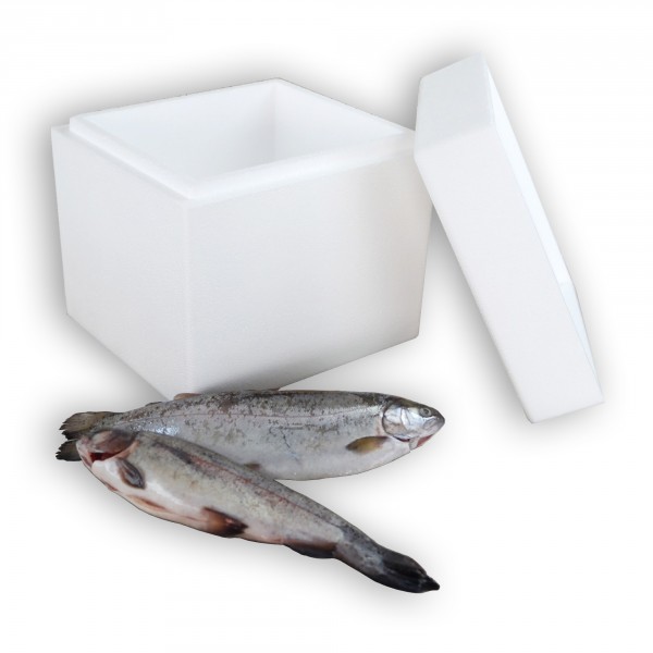 Styropor Isolierbehälter 5,18 Liter