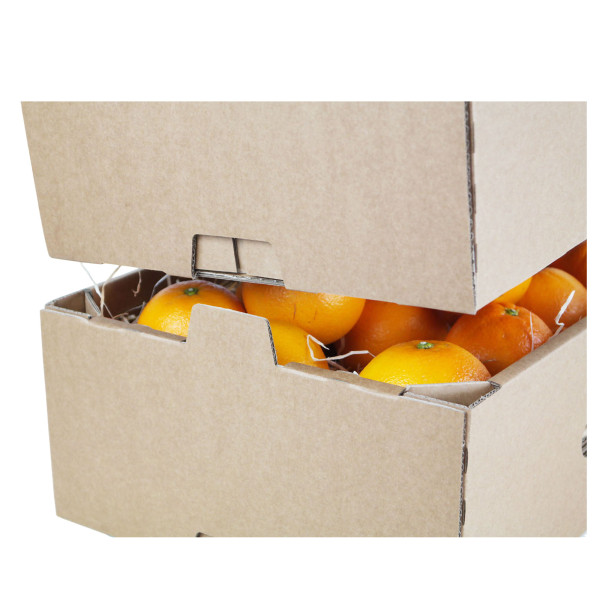 395x295x147mm | Obstkiste