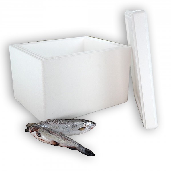 Styropor Isolierbehälter 19,7 Liter