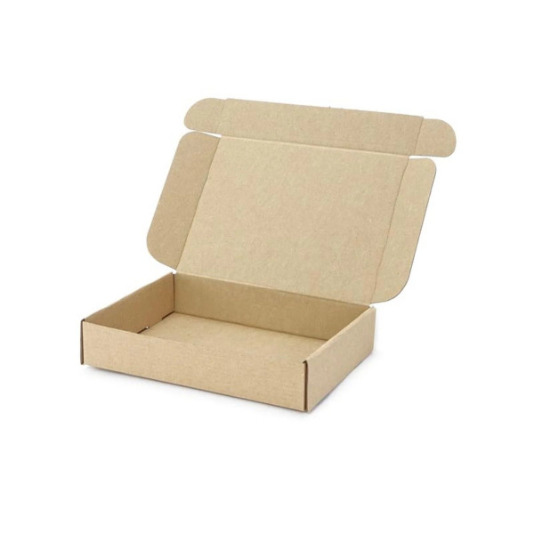 200x152x40mm Maxibrief Karton