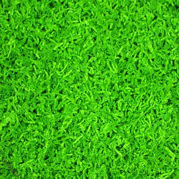 250g * SizzlePak® * Füllmaterial aus Papier