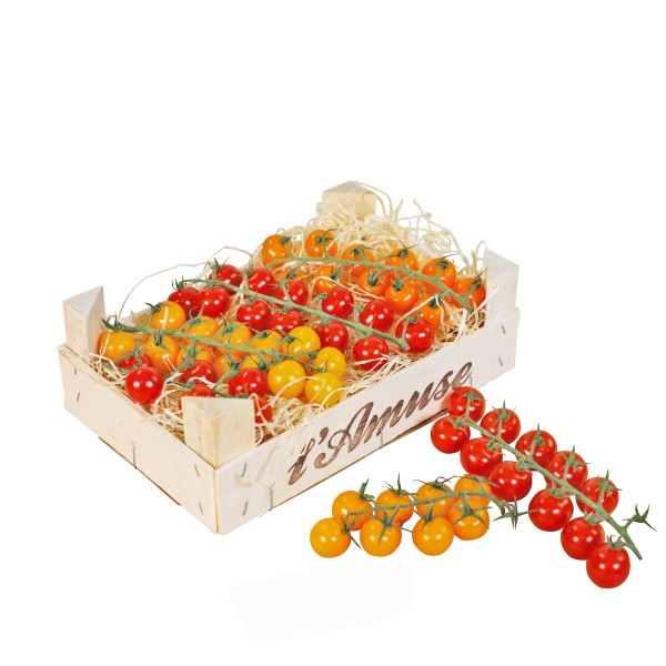 Holzwolle Standard in Ballen | ca. 100kg | per Spedition