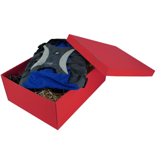 453x340x166mm | Farbig | Geschenkschachtel mit Deckel | 2-tlg.