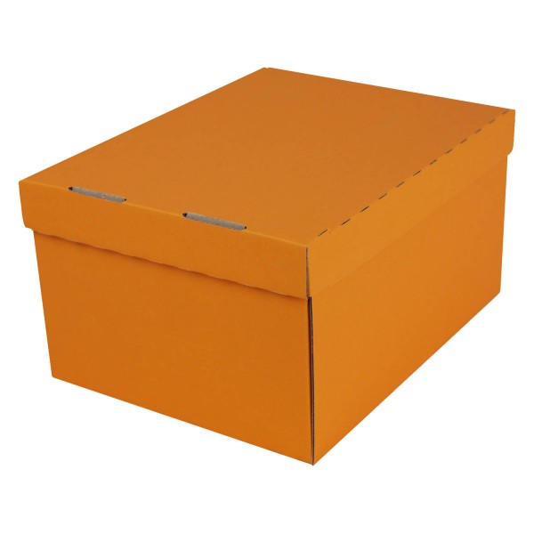 243x190x131mm | Farbig | Geschenkschachtel mit Deckel | 2-tlg.