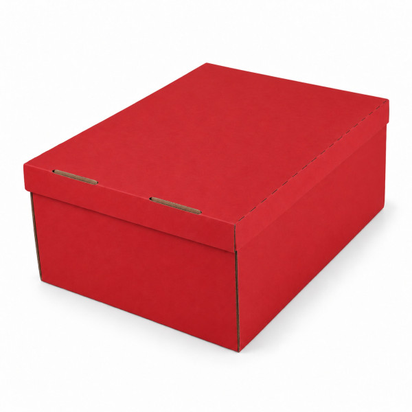 333x255x146mm | Farbig | Geschenkschachtel mit Deckel | 2-tlg.