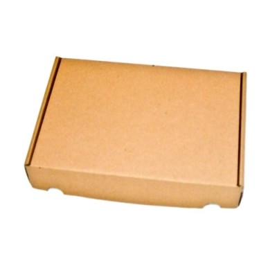 250x175x50 mm Maxibrief Karton