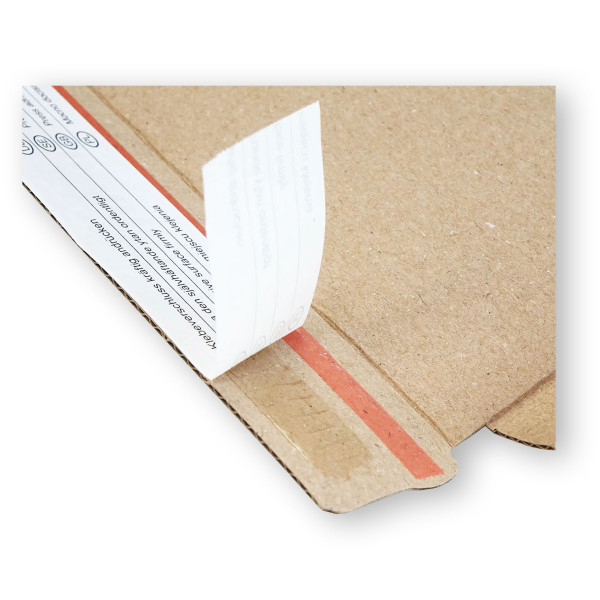 250x175x30mm Maxibrief Karton | weiß