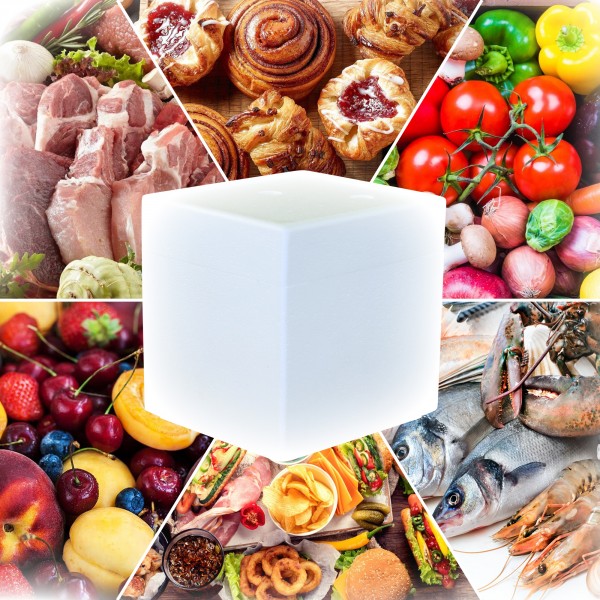 Styropor Isolierbehälter 5,18 Liter