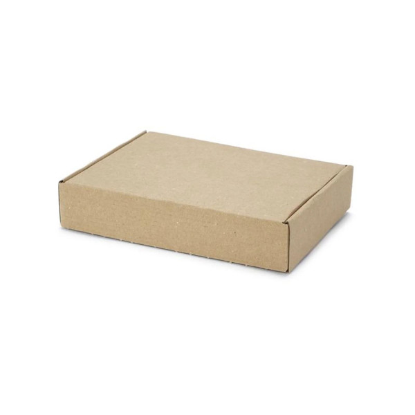 200x152x40mm Maxibrief Karton