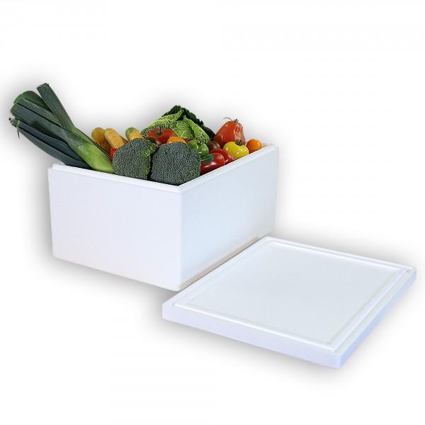 Styropor Isolierbehälter 26,3 Liter