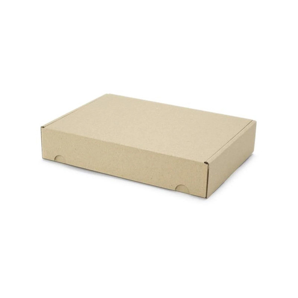 250x175x50mm Maxibrief Karton