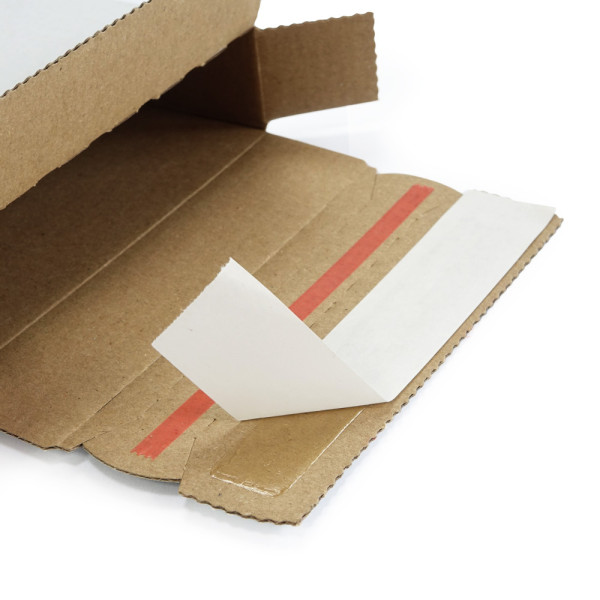 220x140x30mm Maxibrief Karton | weiß