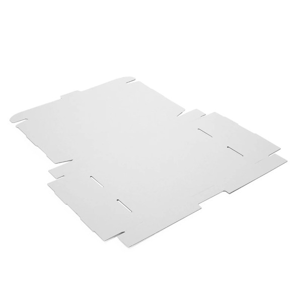 350x250x50mm Maxibrief Karton, weiß