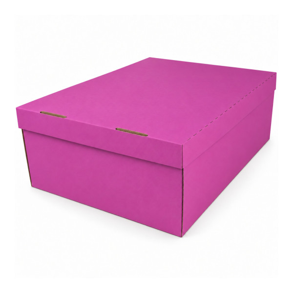 453x340x166mm | Farbig | Geschenkschachtel mit Deckel | 2-tlg.