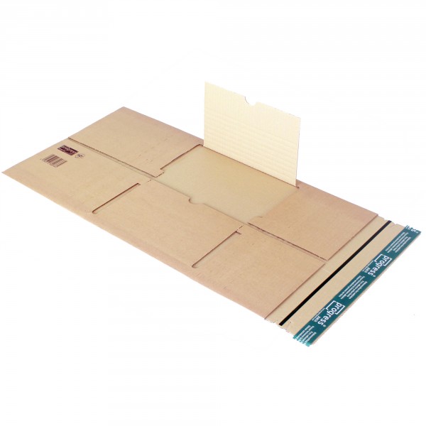 Universalverpackung DIN A4 * Groß- und Maxibrief Format 250x353mm