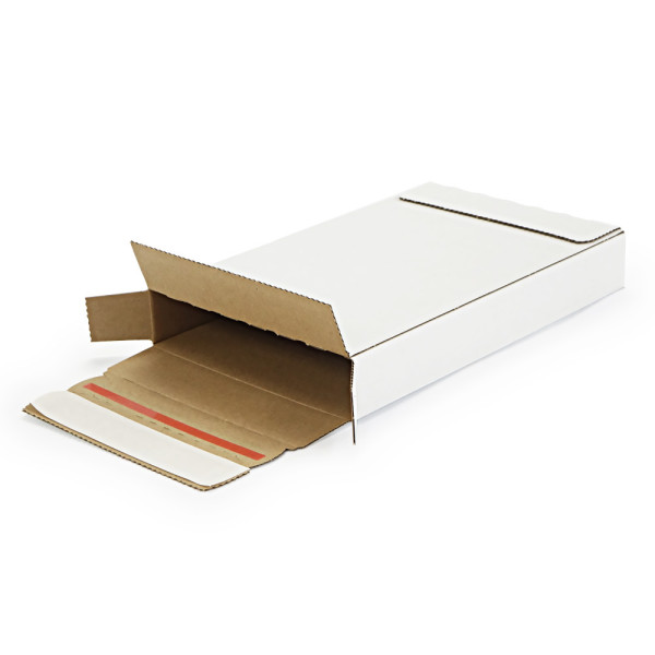 220x140x30mm Maxibrief Karton | weiß