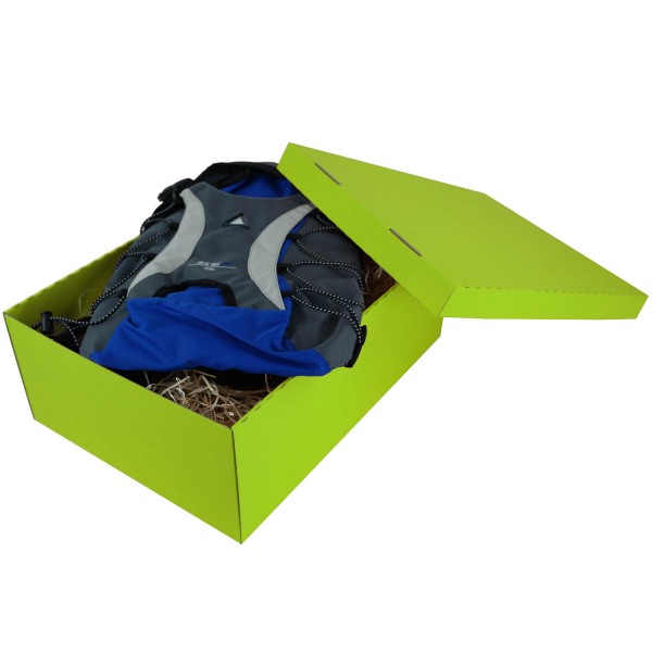 453x340x166mm | Farbig | Geschenkschachtel mit Deckel | 2-tlg.