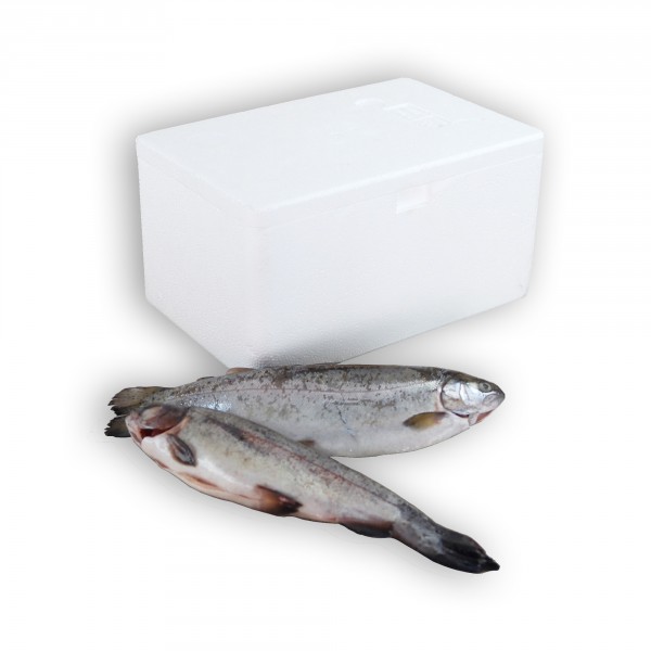 Styropor Isolierbehälter 1,8 Liter