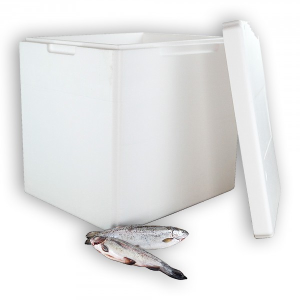 Styropor Isolierbehälter 55 Liter