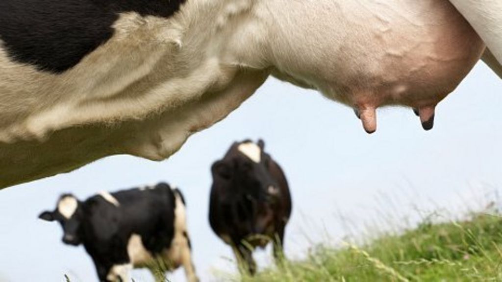 _59017209_udder607ea0b02bb7c