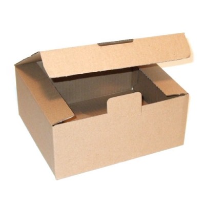 240x200x100 mm Warensendung-Karton