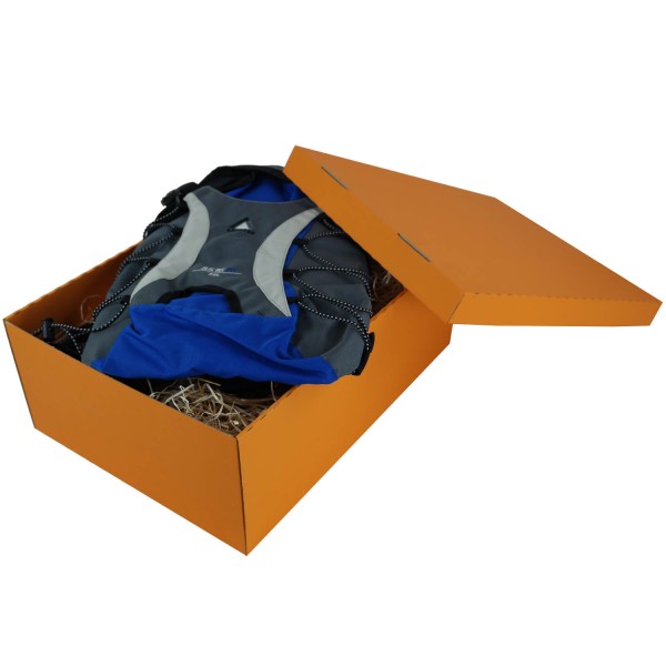 453x340x166mm | Farbig | Geschenkschachtel mit Deckel | 2-tlg.