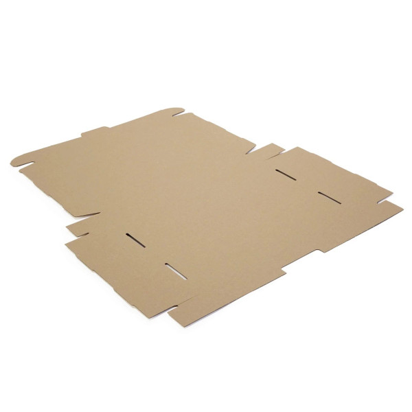 350x250x50mm Maxibrief Karton