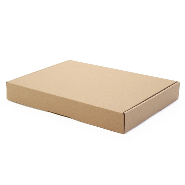 350x250x50mm Maxibrief Karton