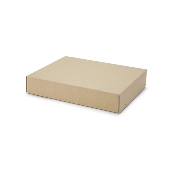 255x200x46mm Maxibrief Karton