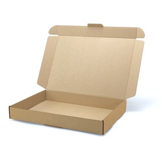 350x250x50mm Maxibrief Karton