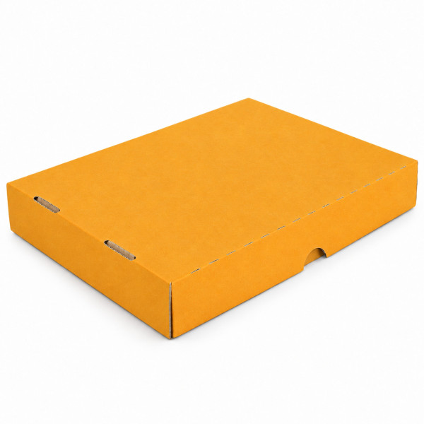 322x241x51mm | Farbig | Geschenkschachtel mit Deckel | 2-tlg.