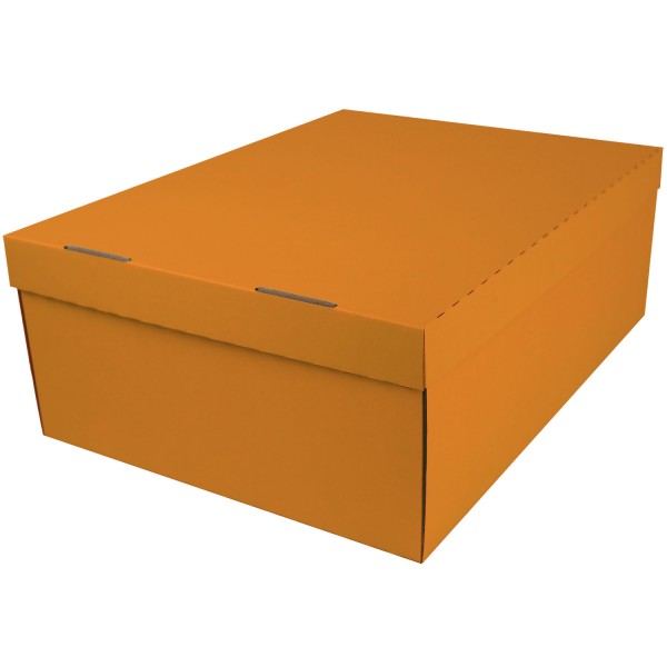 453x340x166mm | Farbig | Geschenkschachtel mit Deckel | 2-tlg.