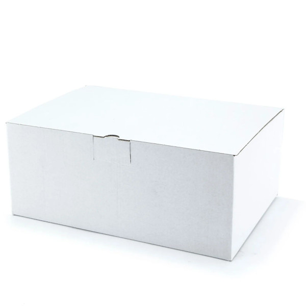 305x215x125mm Warensendung-Karton A4 | weiß