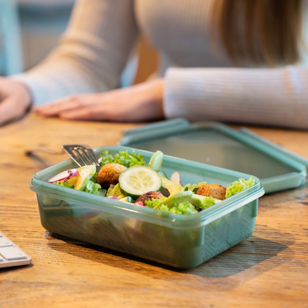 DANKESCHÖN - GESCHENK - EMSA CLIP & CLOSE ECO 1,0L Snackbox