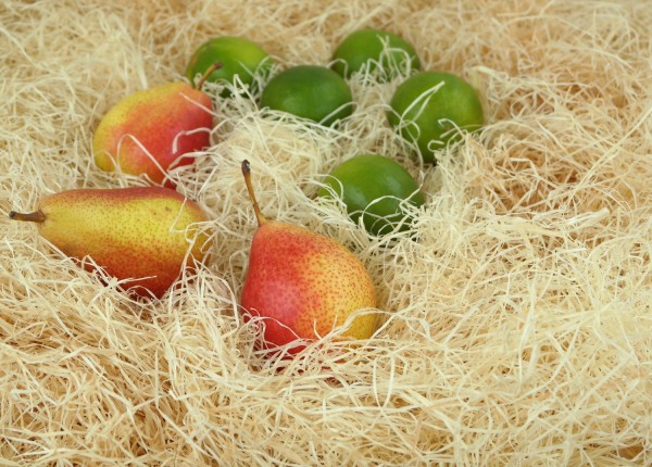 feinste Holzwolle in Ballen | ca. 100kg Saugwolle | per Spedition