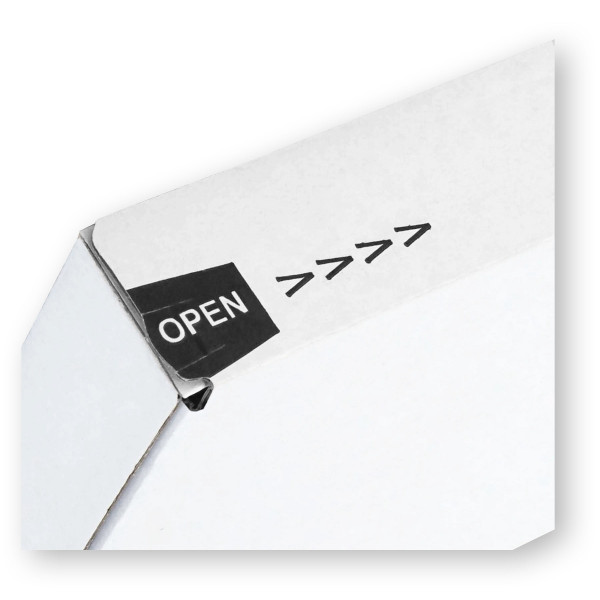 250x175x30mm Maxibrief Karton | weiß