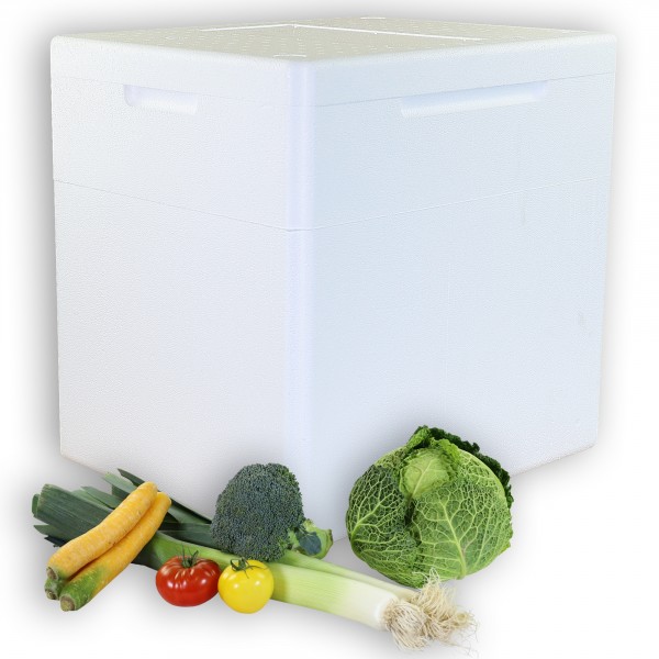 Styropor Isolierbehälter 55 Liter