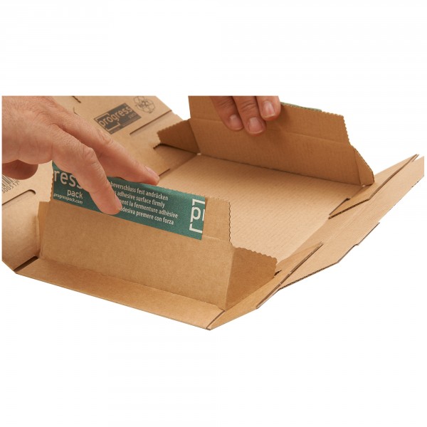 Post-Versandkarton DIN A4 * Groß- und Maxibrief Format 250x353mm