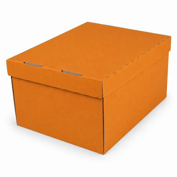 243x190x131mm | Farbig | Geschenkschachtel mit Deckel | 2-tlg.