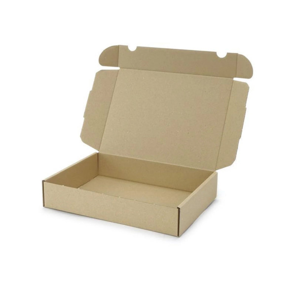 250x175x50mm Maxibrief Karton